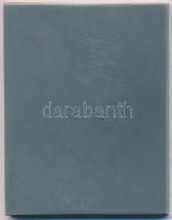 1941. "Magyar Athletikai Szövetség - 1941.IX.14. Kaposvár" fém plakett eredeti dísztokban....
