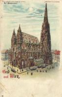 Vienna, Wien I. Stephansdom / church, Meteor hold to light litho (fa)