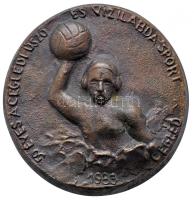 1983. "50 éves a ceglédi úszó és vízilabda sport" Br emlékplakett (115mm) T:2