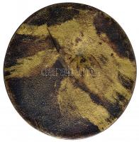 1983. "50 éves a ceglédi úszó és vízilabda sport" Br emlékplakett (115mm) T:2