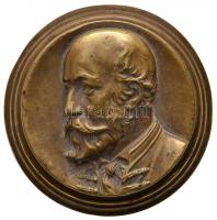 DN "Jókai Mór" fém plakett. Szign.: Magyar Fém és Lámpagyár Rt (100mm) T:2 ph.