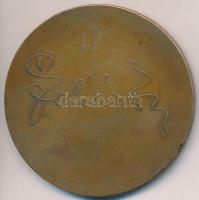 Ausztria DN "Lehár Ferenc" Br emlékérem. Szign.: A. Gerhart (60mm) T:2- ph.
Austria ND &qu...