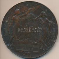 Beck Ötvös Fülöp (1873-1945) 1896. "1896-iki Ezredéves Országos Kiállítás / Millenneumi Nagy Érem Kiváló Érdemekért" Br emlékérem (85mm) T:2- ph.
