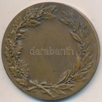 Franciaország DN "Francia női fej" fém érem. Szign.: Daniel Dupuis / H Dubois (32mm) T:2-
...