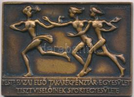 Madarassy Walter (1909-1994) 1940. "Pesti Hazai első Takarékpénztár Egyesület Tisztviselőinek Sportegyesülete / 100 M. gyorsúszás I. hely" Br díjérem (66x48mm) T:2