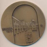 Lapis András (1942-) 1979. "IX. Magyar Endokrin Kongresszus / Szeged" Br emlékérem dísztok...