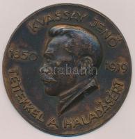 DN "Kvassay Jenő 1850-1919 - Tettekkel a haladásért" Br emlékérem (70mm) T:2-