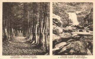 Nagybánya, Széchenyi liget, Gyertyán fasor, Szturi-völgy harmadik vízesése / park, promenade, valley, waterfall (kis szakadás / small tear)