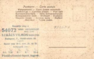 Christmas, lady, pine cones, presents, Lukács Vilmos lottery ticket on the backside, litho (EB)