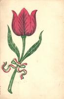 Tulip, Hungarian ribbon