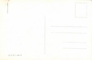 K.u.K. Infanterie B.K.W.I. 880-2 s: Schönpflug