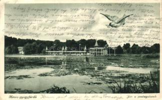 Hévíz-gyógyfürdő, postagalamb (EK)