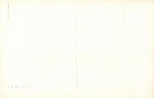 K.u.K. Artillerie Offizier B.K.W.I. 217-3 s: Schönpflug