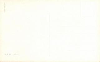 K.u.K. Husaren-Offizier B.K.W.I. 217-5 s: Schönpflug