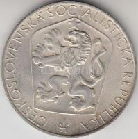 Csehszlovákia 1965. 25K Ag "Felszabadulás 20. évfordulója" T:2 patina
Czechoslovakia 1965....