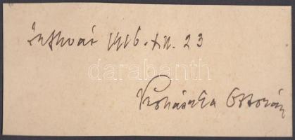 Prohászka Ottokár (1858- 1927) katolikus egyházi író, székesfehérvári püspök, a magyar keresztényszo...