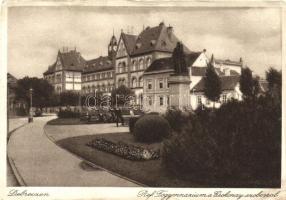 Debrecen, Református főgimnázium, Csokonay szobor (kis szakadás / small tear)