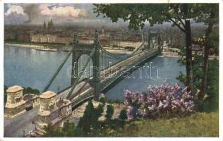 Budapest, Erzsébet híd (b)