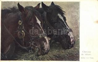 Chevaux de labour / Horses, B.K.W.I. No. 1118. s: Julis von Blaas (EK)