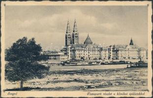 Szeged, Tisza part, Klinikai épületek, gőzhajó (fa)