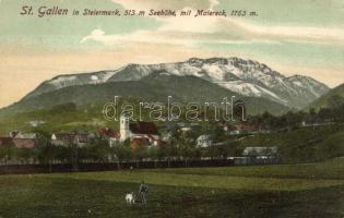 Sankt Gallen, Maiereck / mountain