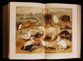 Meyers Großes Konversations-lexikon. Ein Nachschlagewerk des allgemeinen Wissens. 1. köt.: A bis Ast...