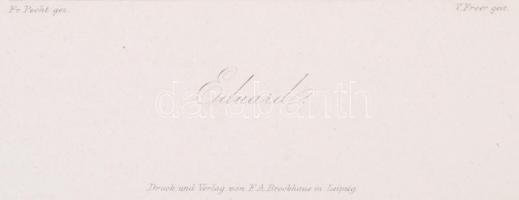 1864 Eduard, acélmetszet, Friedrich Pecht (1814-1903) rajza alapján metszette Adrian Schleich (1812-...
