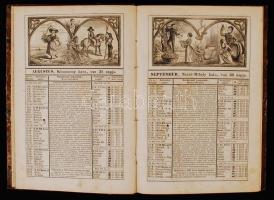 Müller Gyula: Nagy naptára 1852dik szökő évre. Minden rendű hivatalok, bármely szakban működő állada...