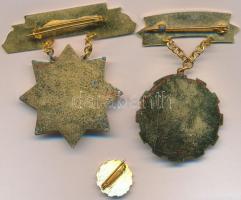 ~1965. "Kiváló Termelőszövetkezeti Dolgozó" aranyozott, zománcozott kitüntetés, miniatűrre...