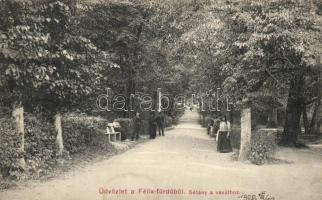 1908 Félixfürdő, Baile Felix; sétány a vasúthoz / promenade to the railway statiton (lyuk / pinhole)