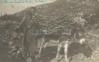 Albanian folklore, donkey photo (EK)