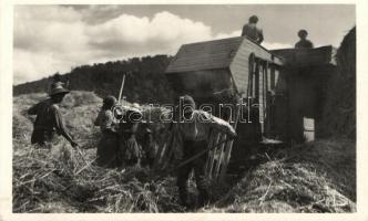 Csíkzsögöd, cséplés, folklór / threshing, folklore