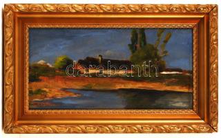 Olvashatatlan jelzéssel: Tanya. Olaj, farost, keretben, 24×45 cm