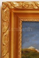 Olvashatatlan jelzéssel: Tanya. Olaj, farost, keretben, 24×45 cm