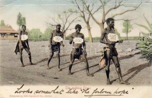 Africa; the walking craze (EK)