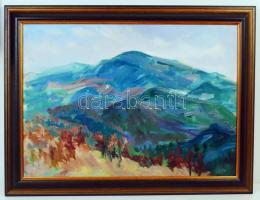 Lics Zsuzsa (1944-): Mátrai hegyek. Olaj, vászon, jelzett, keretben, 50×70 cm 