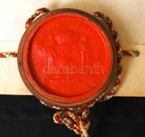 1892 Flóderer Jenő orvosi diploma. Pergamen, függő pecséttel