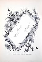 Rudolf emlék-album. A magyar irók és művészek szives közreműködésével szerk. Cziklay Lajos. Budapest...