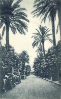 Genova, Nervi; Viale delle Palme / palm trees, street, automobile