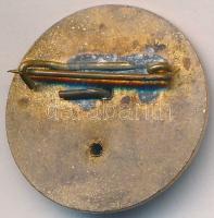 DN "Kőbányai Gyógyszerárugyár - Hűséges munkáért" zománcozott fém jelvény T:2- sérült