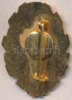 DN "Hűséggel a nép egészségéért" zománcozott, aranyozott fém jelvény T:1-