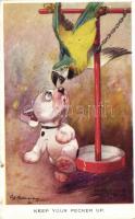 Keep you pecker up / Parrot, Bonzo dog s: G. E. Studdy