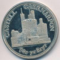 Nagy-Britannia 1977. "Ezüst Jubileum 1952-1977 / Caernarfon vár - Sas torony" fém emlékére...