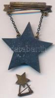 1953. "Sztahanovista" zománcozott fém kitüntetés, tokban miniatűrrel T:2-