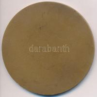 ~1960. "Eredményes propaganda munkáért" Br emlékplakett, tokban. Szign.: CVS (70mm) T:2 ph