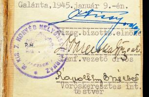 1945 Vöröskeresztes ápolónői igazolvány, fényképpel, névre szólóan, műbőr tokban, tűzzománcos ápolón...