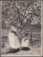 cca 1925 Kerny István (1879-1963): Virágzó fa, aláírt vintage néprajzi, népviseleti fotó, 24x18 cm