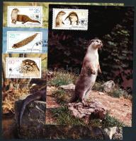 WWF: otter set on 4 CM, WWF kihalófélben lévő állatok: vidra sor 4 CM