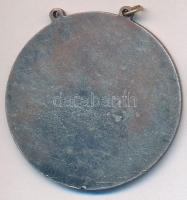 1953. "Lenin Kohászati Művek Emlékérem" fém emlékérem füllel T:2 ph