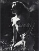 cca 1970 Tavaszi vágyak ébredése, finoman erotikus fénykép, 24x18 cm / cca 1970 Erotic photo, 24x18 cm